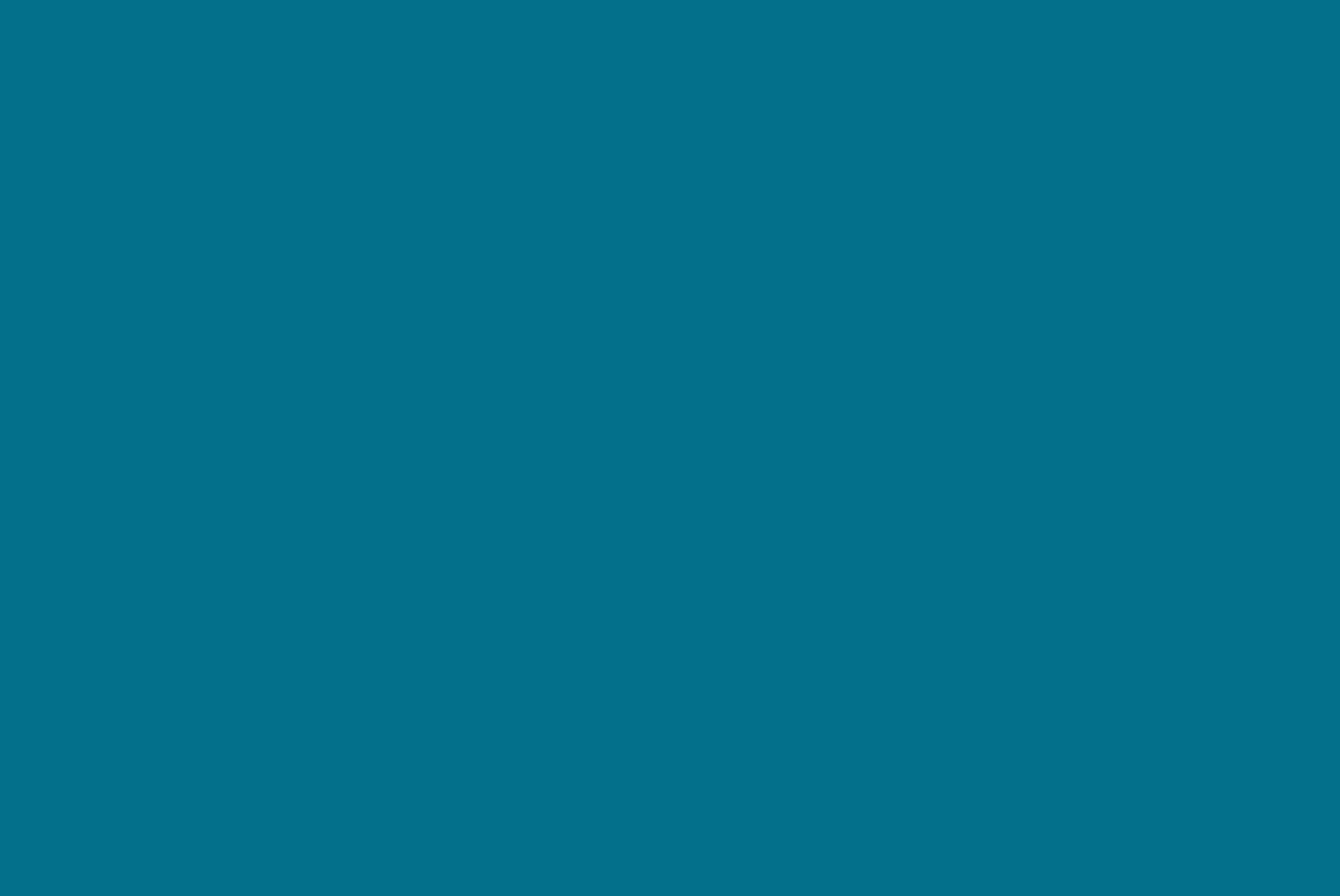 Flamant Elektro | Blauw