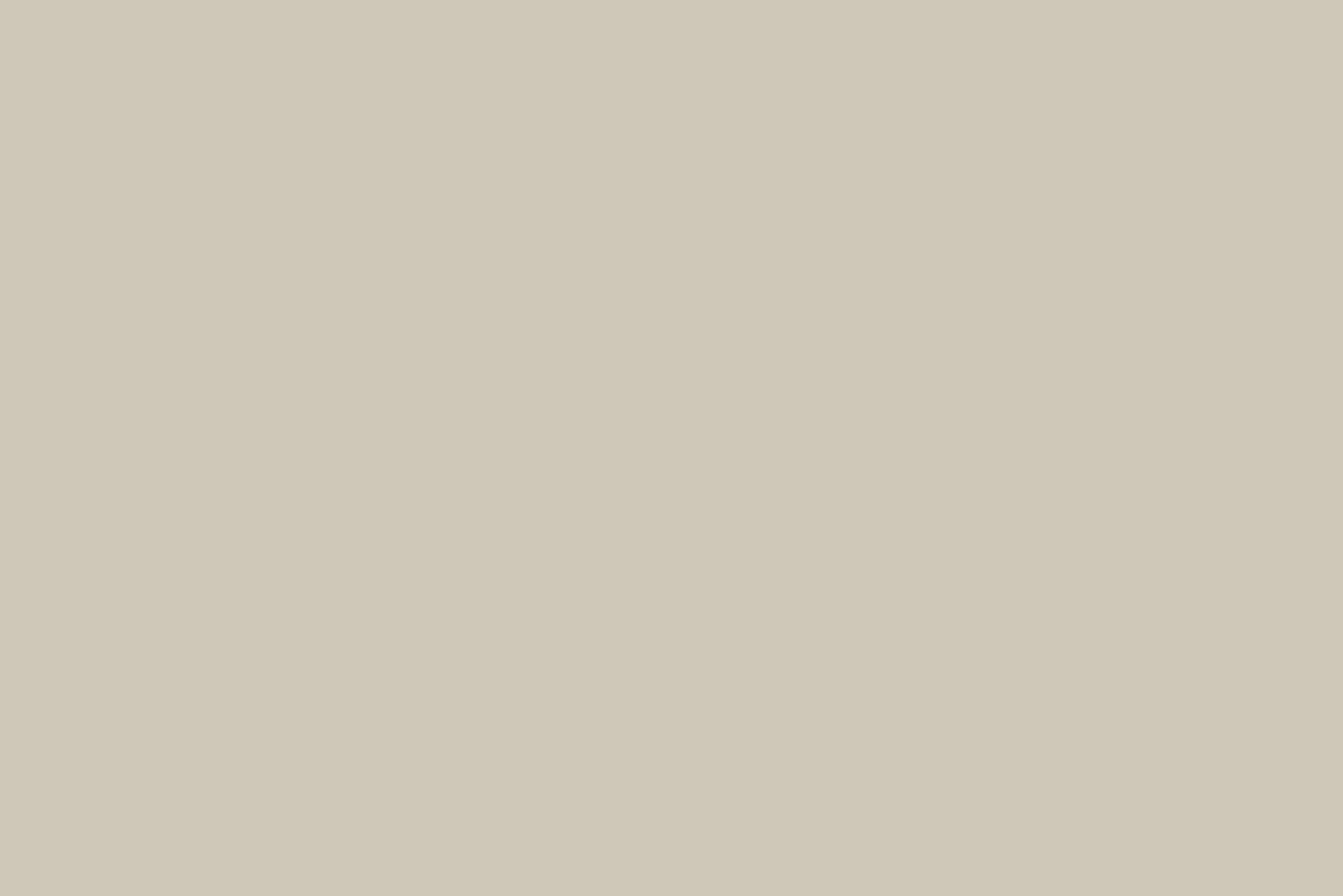 Flamant Strand | Wit